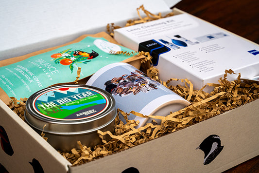 Past Box Reveal