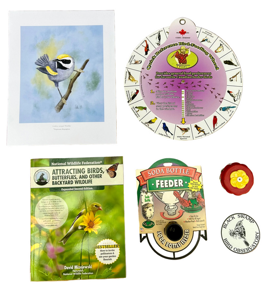 Backyard BRDR Bundle