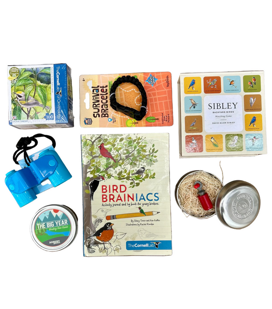 Kid BRDR Bundle